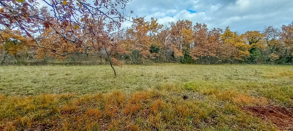 Grisignana, dintorni, terreno ai margini del villaggio