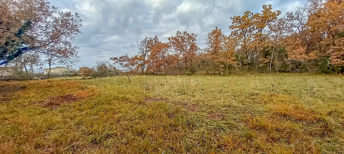 Grisignana, dintorni, terreno ai margini del villaggio