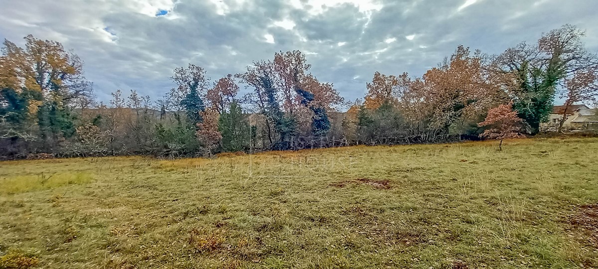 Grisignana, dintorni, terreno ai margini del villaggio