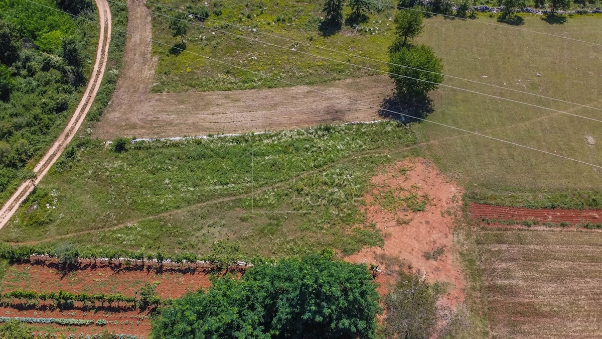 Parenzo, dintorni, terreno edificabile immerso nella natura