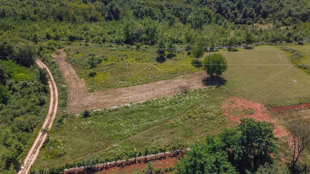 Parenzo, dintorni, terreno edificabile immerso nella natura