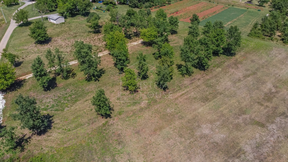Parenzo, dintorni, terreno edificabile per la costruzione di una villa