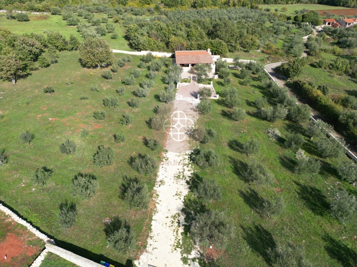 **Rarità sul mercato **Casa di campagna in un uliveto con vista sul mare *TOPLOCATION*