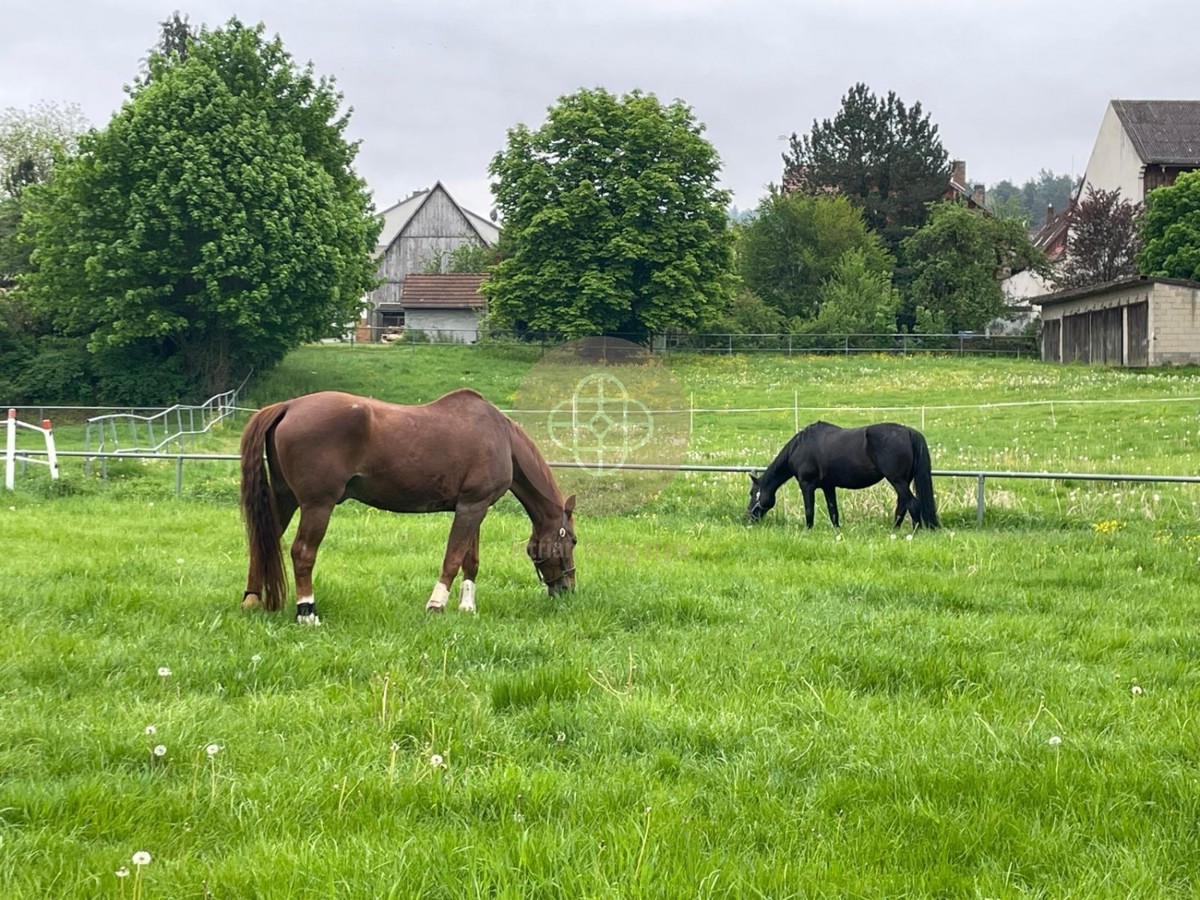 Casa rustica indipendente con ampio giardino, fienile e cantina