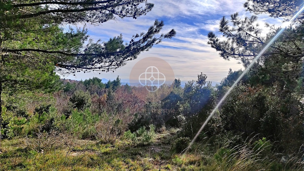 Terreno con vista mare *Continuazione della registrazione di inizio costruzione di una villa con piscina # possibile modifica del progetto - ISTRIA