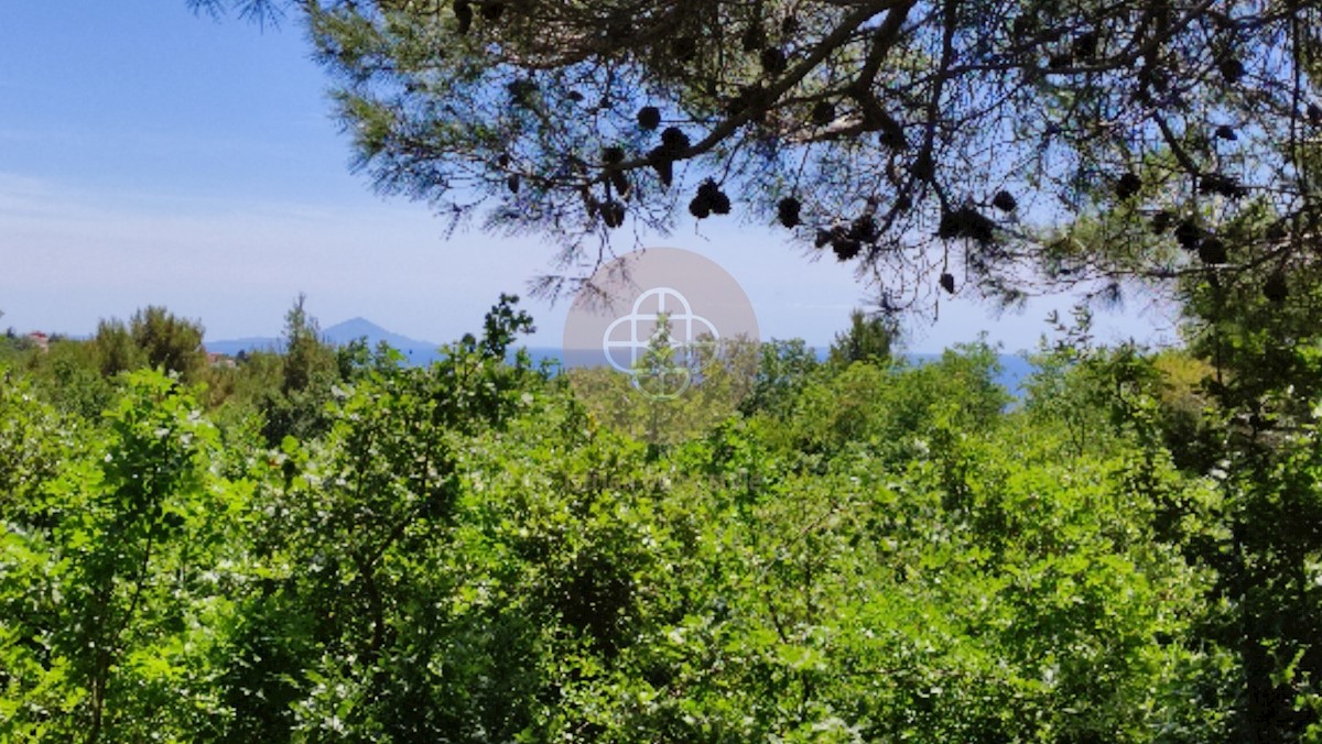 Terreno con vista mare *Continuazione della registrazione di inizio costruzione di una villa con piscina # possibile modifica del progetto - ISTRIA