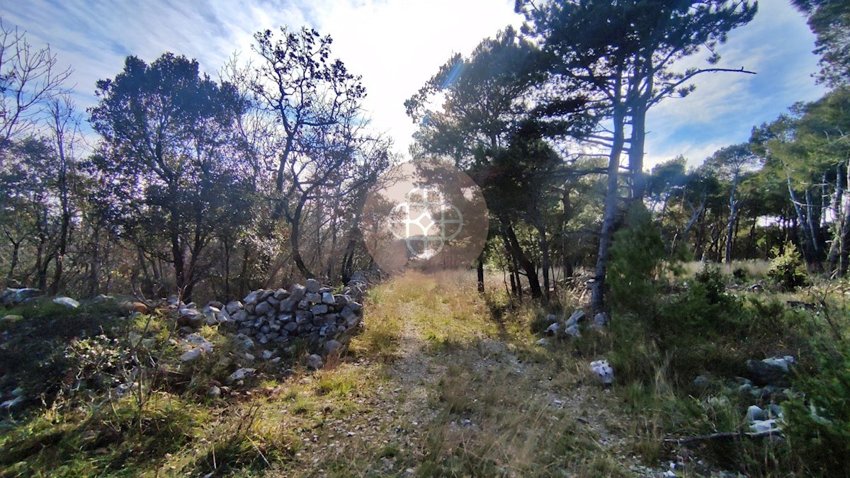 Terreno con vista mare *Continuazione della registrazione di inizio costruzione di una villa con piscina # possibile modifica del progetto - ISTRIA