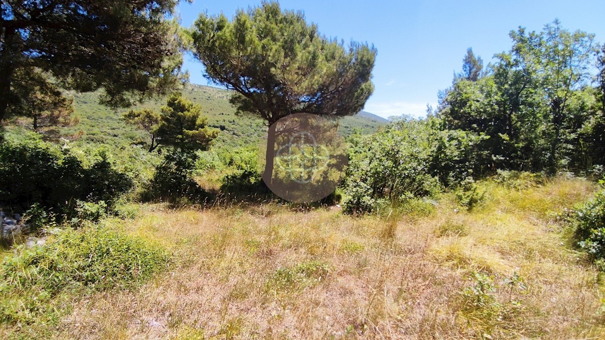 Terreno con vista mare *Continuazione della registrazione di inizio costruzione di una villa con piscina # possibile modifica del progetto - ISTRIA