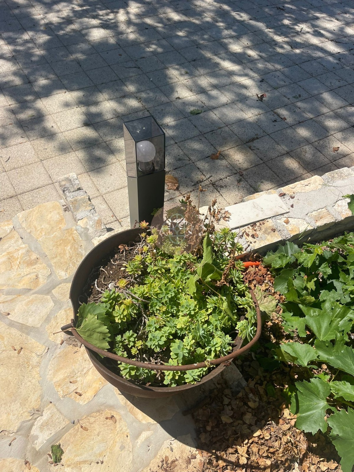 Fantastica proprietà con foresteria e vista lontana Vicino al mare