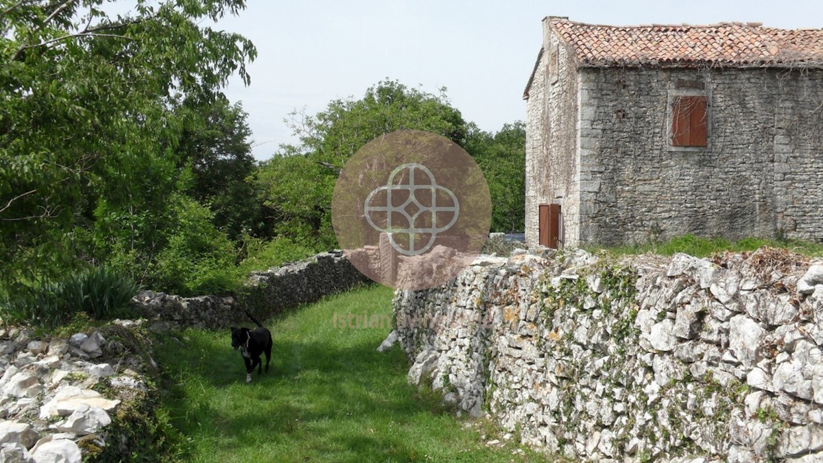 Istria - Villa Milica: Fantastica casa in pietra ristrutturata con Riconoscimenti ecologici