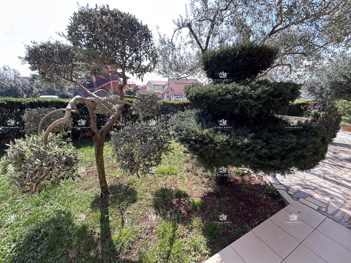 Istria, Novigrad, casa indipendente abitabile con 4 appartamenti, 330 m2, terreno di 600 m2, in vendita