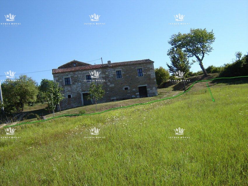 Istria, Motovun, vendita di terreno edificabile di 1.900 m2 e terreno agricolo di 16.637 m2, costruzione di un agriturismo, villa, infrastrutture nelle vicinanze.