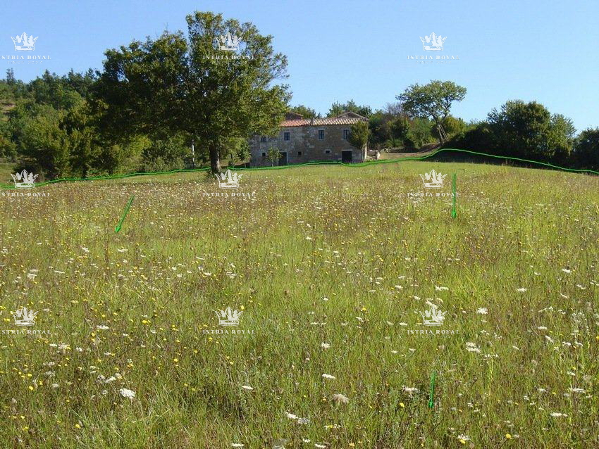 Istria, Motovun, vendita di terreno edificabile di 1.900 m2 e terreno agricolo di 16.637 m2, costruzione di un agriturismo, villa, infrastrutture nelle vicinanze.