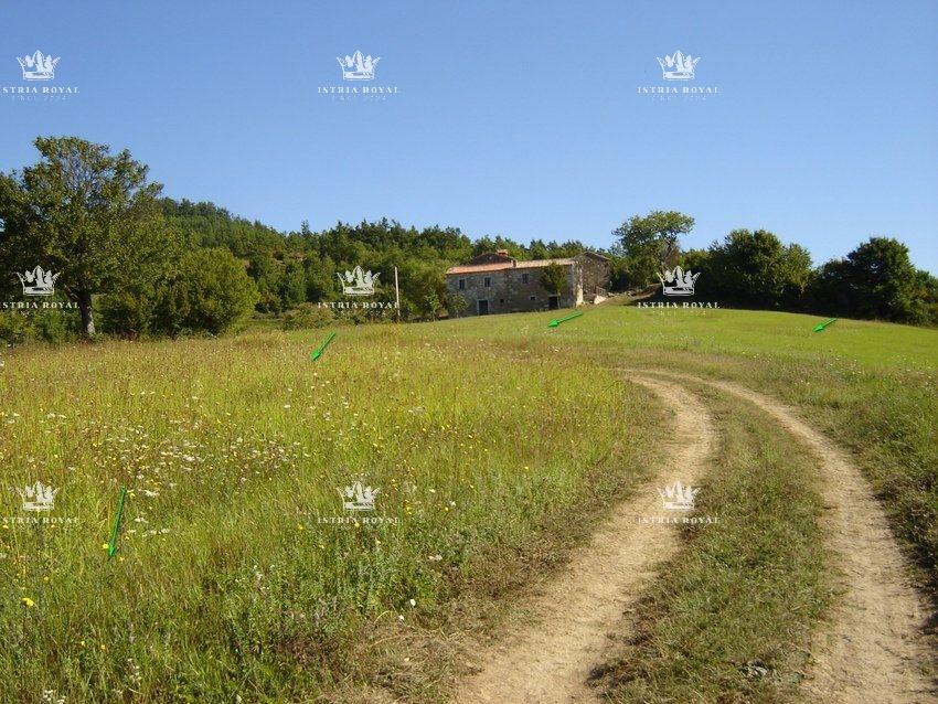 Istria, Motovun, vendita di terreno edificabile di 1.900 m2 e terreno agricolo di 16.637 m2, costruzione di un agriturismo, villa, infrastrutture nelle vicinanze.