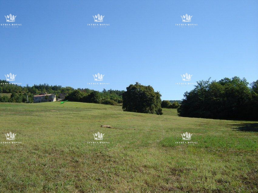 Istria, Motovun, vendita di terreno edificabile di 1.900 m2 e terreno agricolo di 16.637 m2, costruzione di un agriturismo, villa, infrastrutture nelle vicinanze.