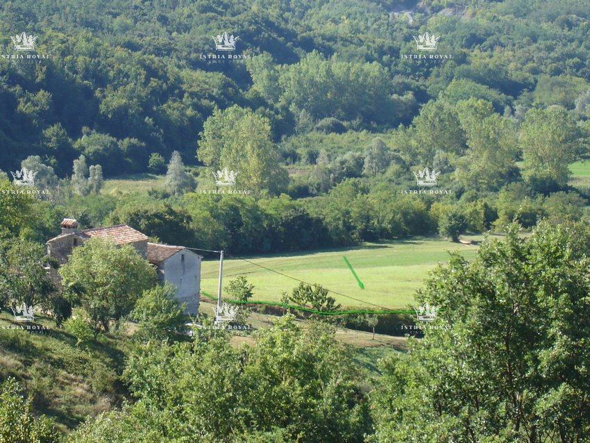 Istria, Motovun, vendita di terreno edificabile di 1.900 m2 e terreno agricolo di 16.637 m2, costruzione di un agriturismo, villa, infrastrutture nelle vicinanze.