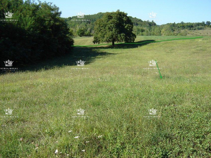Istria, Motovun, vendita di terreno edificabile di 1.900 m2 e terreno agricolo di 16.637 m2, costruzione di un agriturismo, villa, infrastrutture nelle vicinanze.