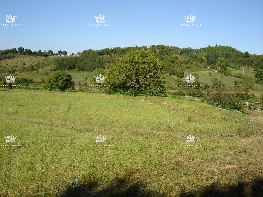 Istria, Motovun, vendita di terreno edificabile di 1.900 m2 e terreno agricolo di 16.637 m2, costruzione di un agriturismo, villa, infrastrutture nelle vicinanze.