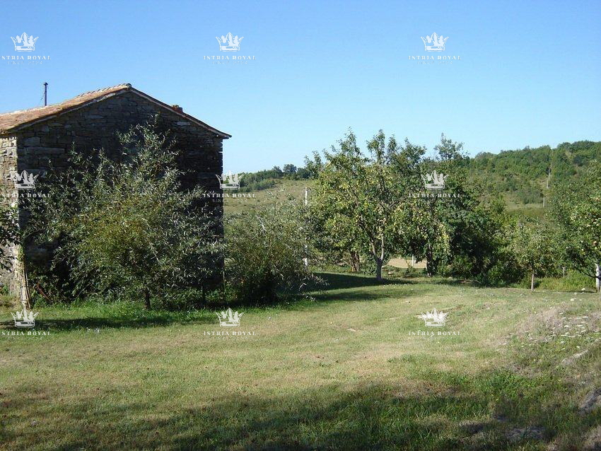 Istria, Motovun, vendita di terreno edificabile di 1.900 m2 e terreno agricolo di 16.637 m2, costruzione di un agriturismo, villa, infrastrutture nelle vicinanze.