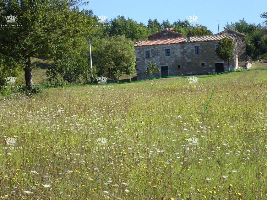 Istria, Motovun, vendita di terreno edificabile di 1.900 m2 e terreno agricolo di 16.637 m2, costruzione di un agriturismo, villa, infrastrutture nelle vicinanze.