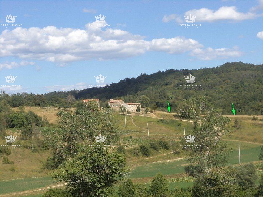 Istria, Motovun, vendita di terreno edificabile di 1.900 m2 e terreno agricolo di 16.637 m2, costruzione di un agriturismo, villa, infrastrutture nelle vicinanze.
