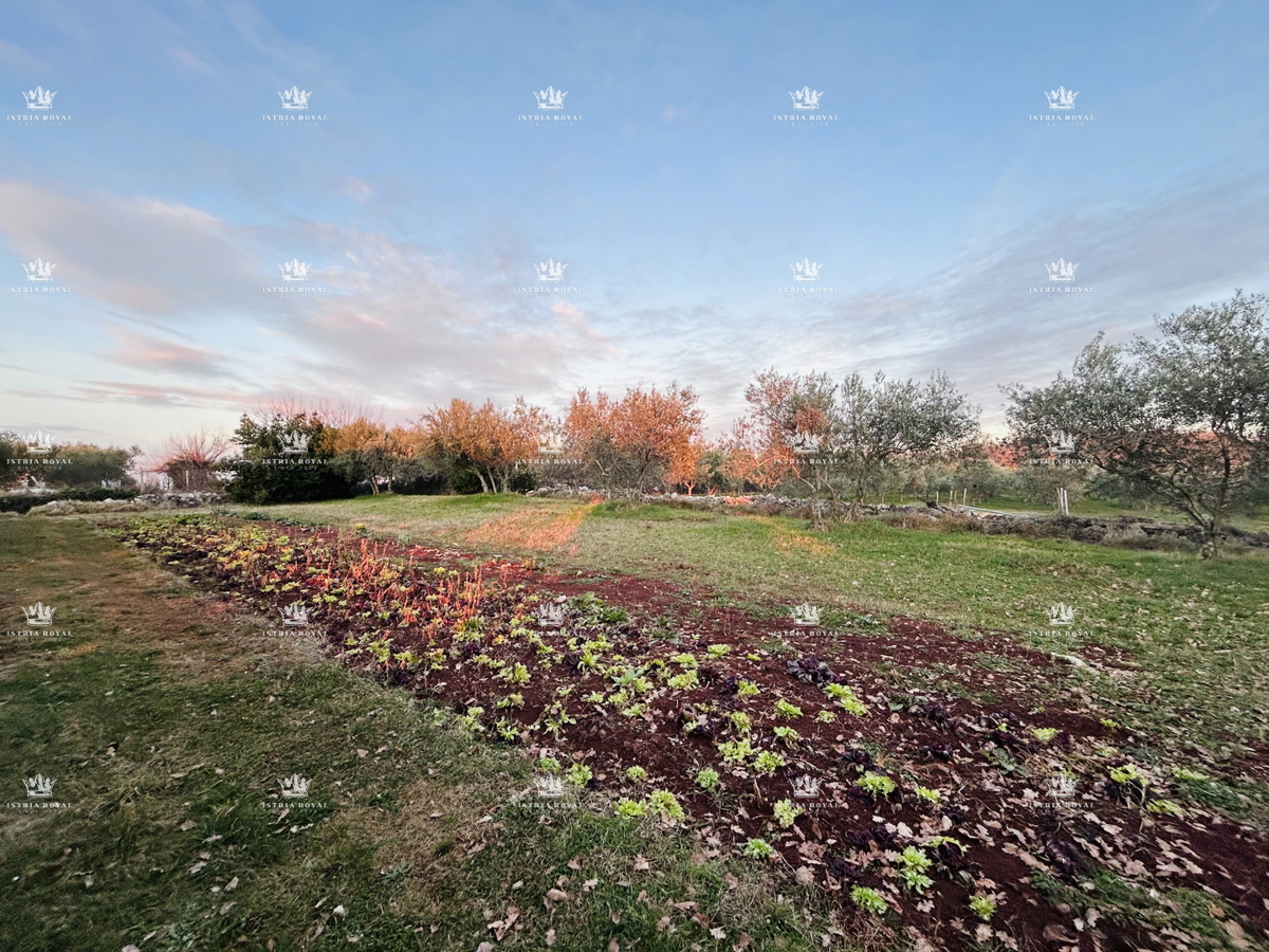 Terreno edificabile di 854 m² a Kaštel – Natura, Maslenik, Vicinanza al confine!
