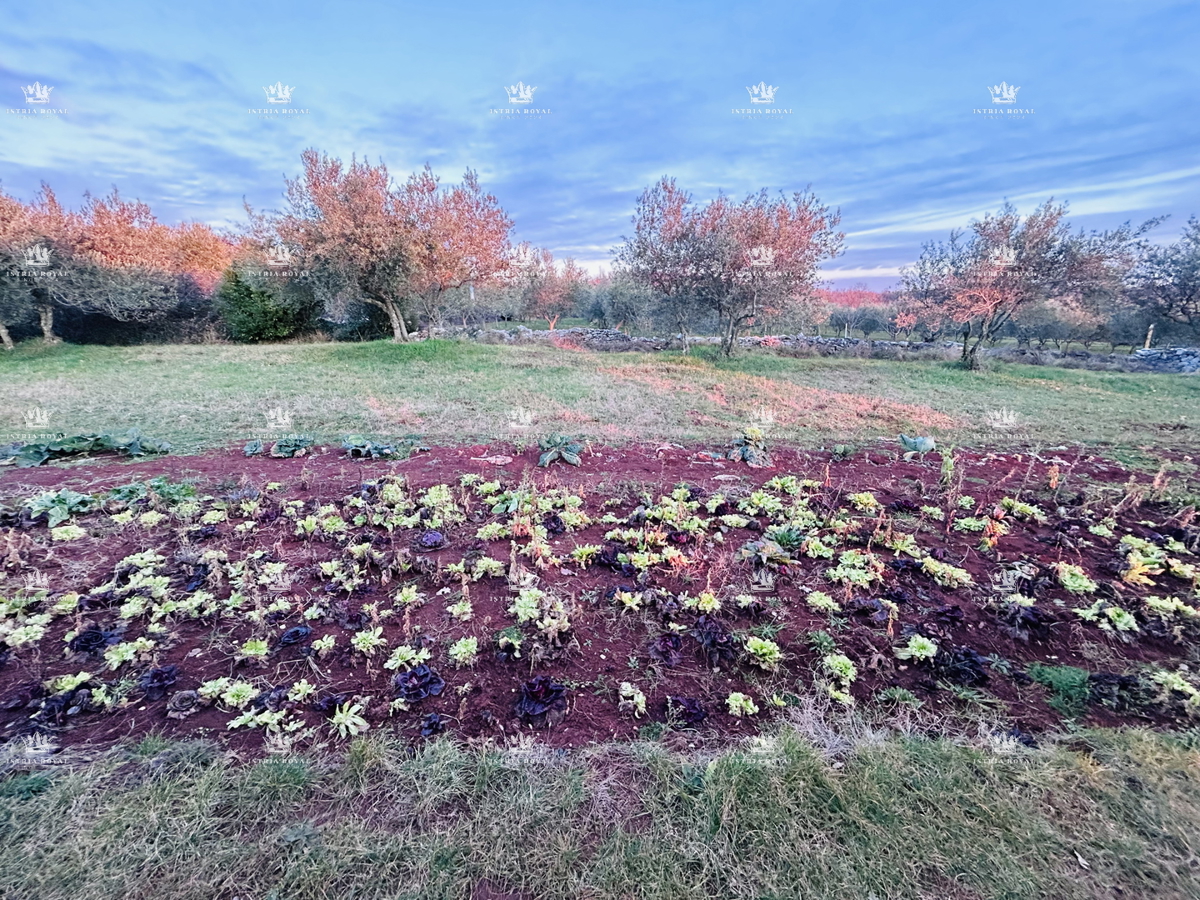 Terreno edificabile di 854 m² a Kaštel – Natura, Maslenik, Vicinanza al confine!