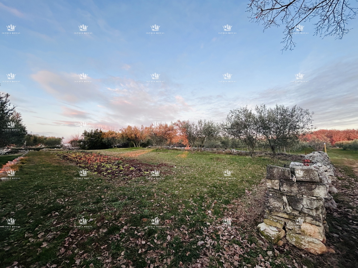Terreno edificabile di 854 m² a Kaštel – Natura, Maslenik, Vicinanza al confine!