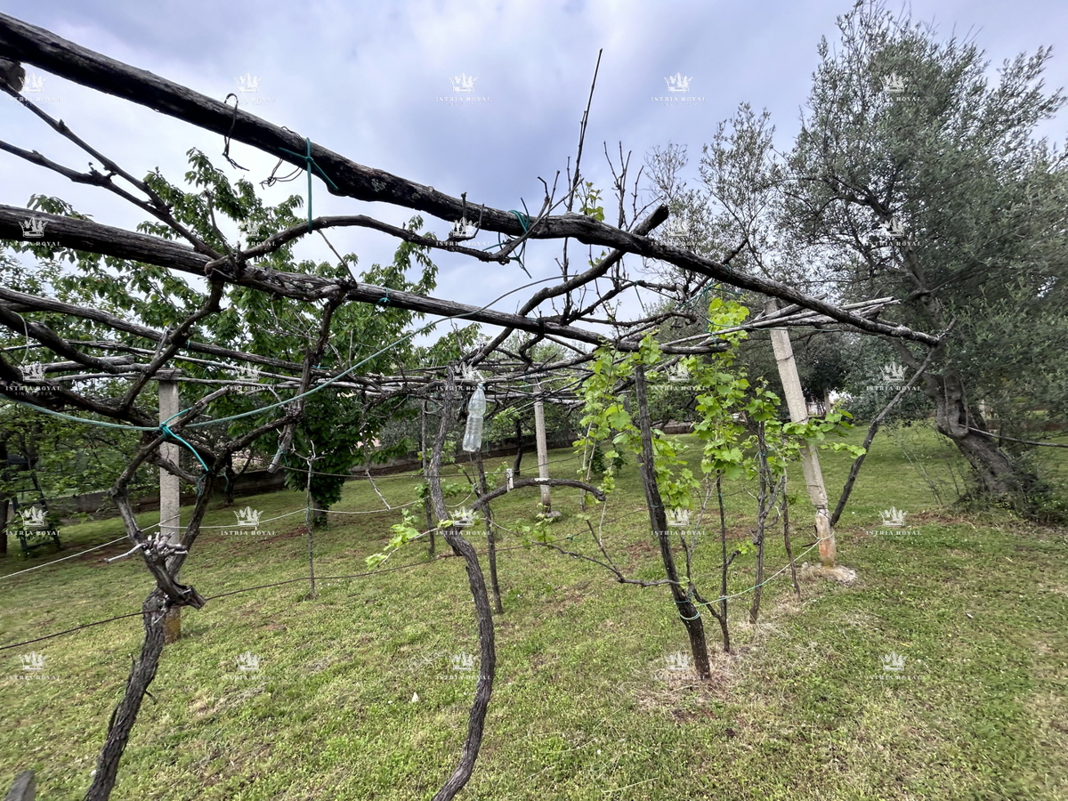 Istria, periferia di Umago, casa di 420 m2 con terrazze, terreno di 1644 m2, 2 garage, vista mare