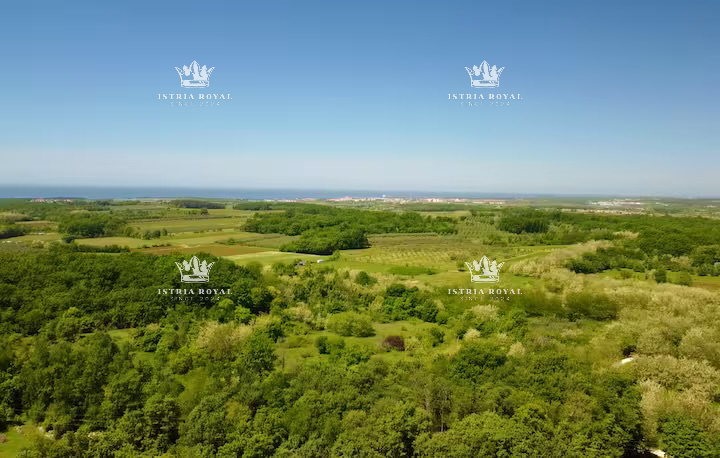 Istra, Umag, casa con 2 appartamenti, 1 monolocale, piscina, cortile