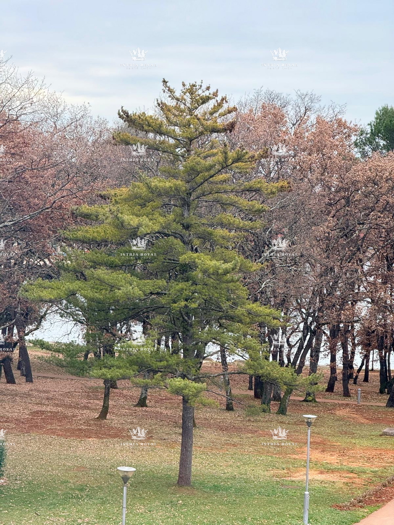 Istra, Umag, appartamento, attico, 108m2, 3 locali + soggiorno, 2 terrazze, parcheggio, VICINO AL MARE!