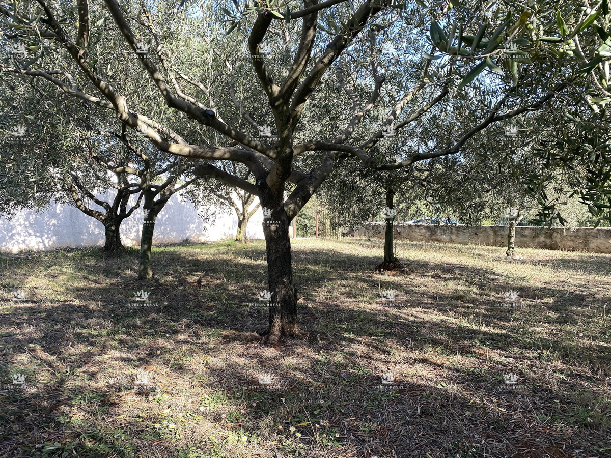 Istra, Pomer, terreno edificabile di 500m2, a 100 metri dal mare.