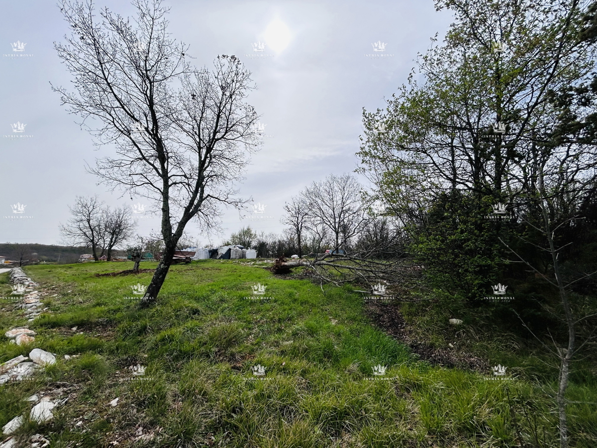 Terreno edificabile di 2762 m², Kremenje vicino a Momjan – vista aperta, vicinanza al paese, in vendita.