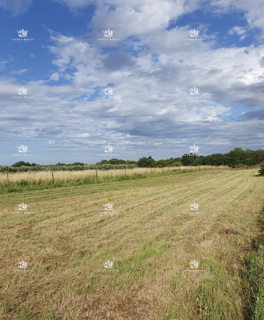 Terreno edificabile di 900 m² – nei dintorni di Ližnjan – Destinazione residenziale, posizione tranquilla.