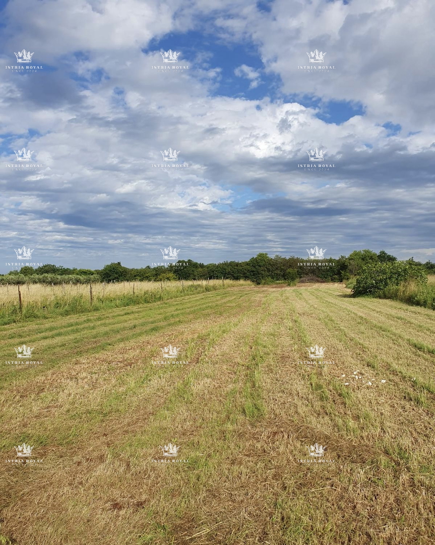Terreno edificabile di 900 m² – nei dintorni di Ližnjan – Destinazione residenziale, posizione tranquilla.