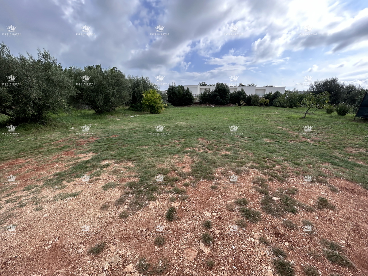 Istria, Zambratija, terreno edificabile 680m2, utenze pagate, progetto, permesso di costruzione, zona residenziale di prestigio