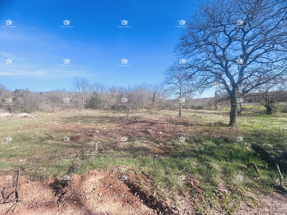 Istra, Savudrija, Crveni Vrh, parcela edificabile 750m2