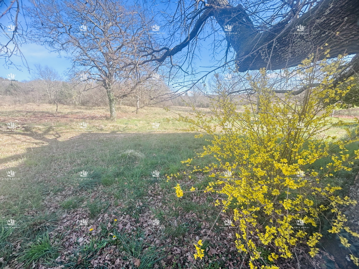 Istra, Savudrija, Crveni Vrh, parcela edificabile 750m2