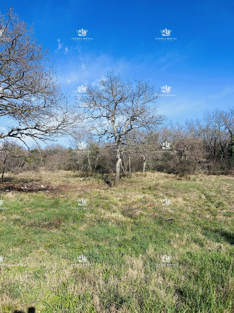 Istra, Savudrija, Crveni Vrh, parcela edificabile 750m2