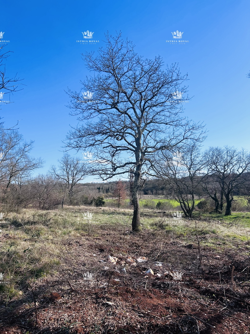 Istra, Savudrija, Crveni Vrh, parcela edificabile 750m2