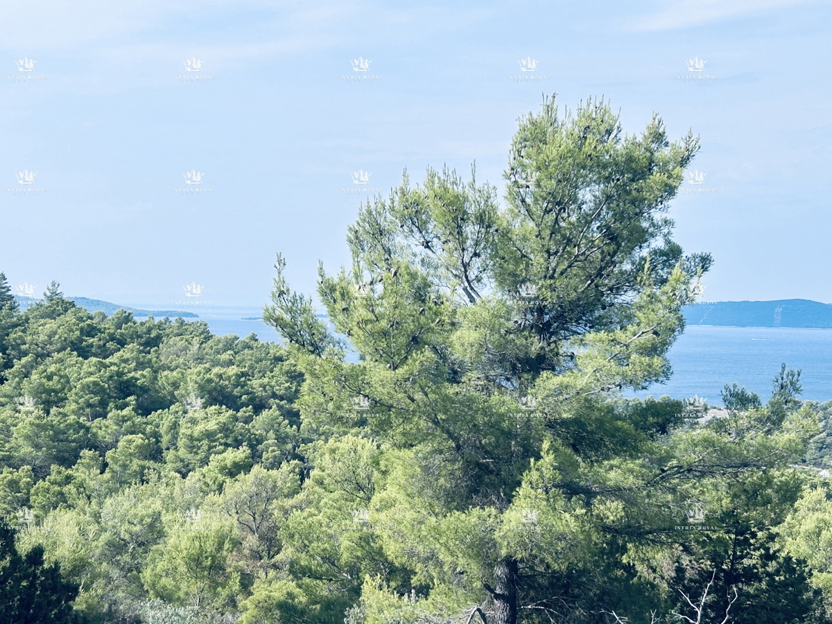 Dalmazia, Brač, Sutivan, parcela 29787m2 sa markicom, maslinik.