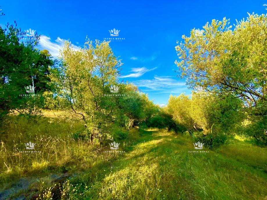 Istra, Draguć, INVESTICIJA, 3 properties, and 4060 m² of building land