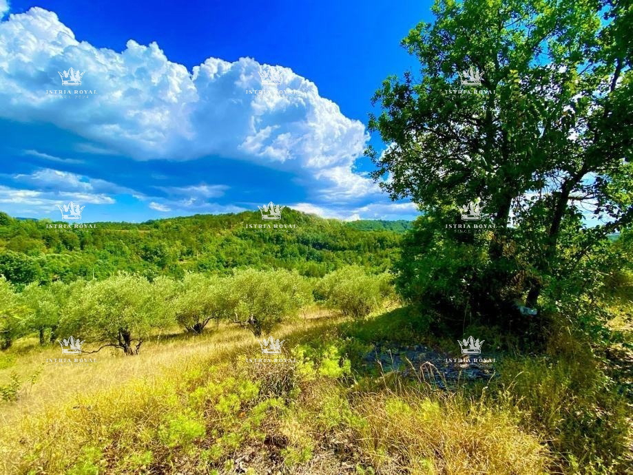 Istra, Draguć, INVESTICIJA, 3 properties, and 4060 m² of building land