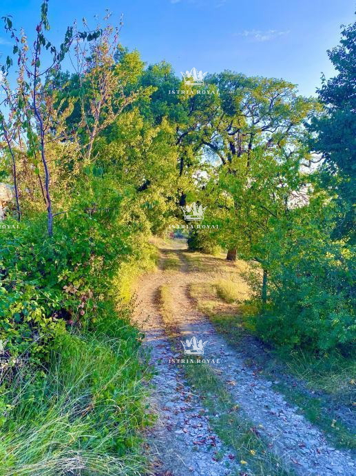 Istra, Draguć, INVESTICIJA, 3 properties, and 4060 m² of building land