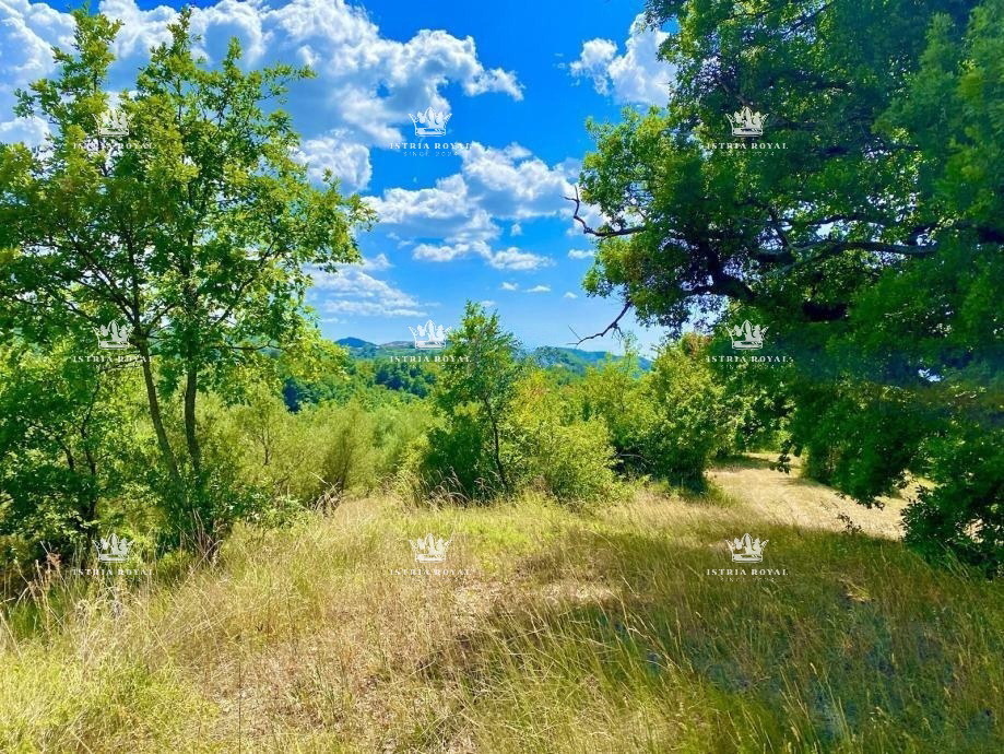 Istra, Draguć, INVESTICIJA, 3 properties, and 4060 m² of building land