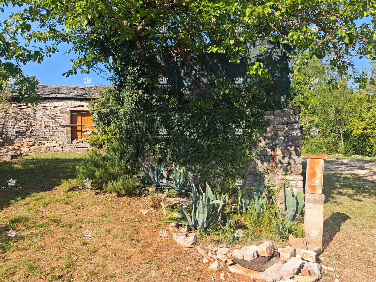 Istria, Oprtalj, casa 70m2
