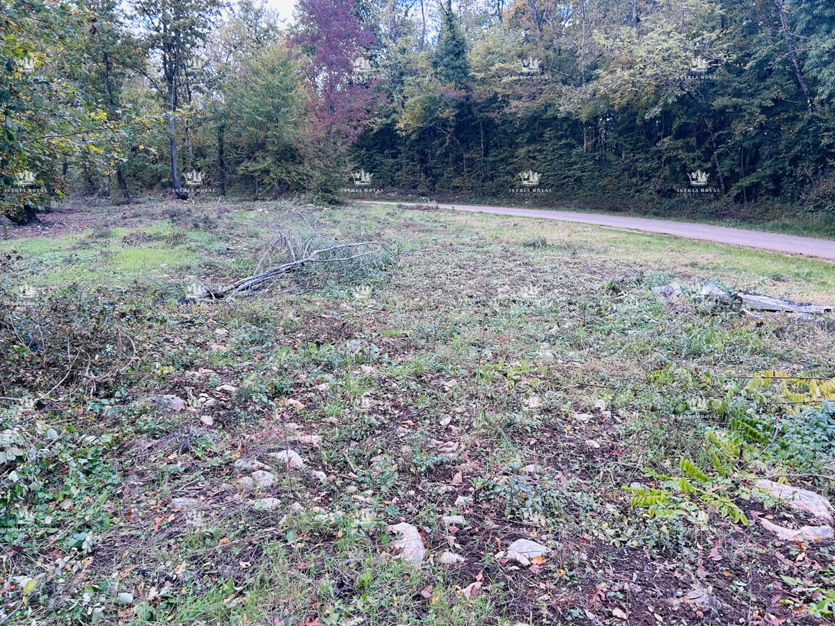 Istria, Karojba – Terreno edificabile di 1450 m² con progetto e permesso di costruire