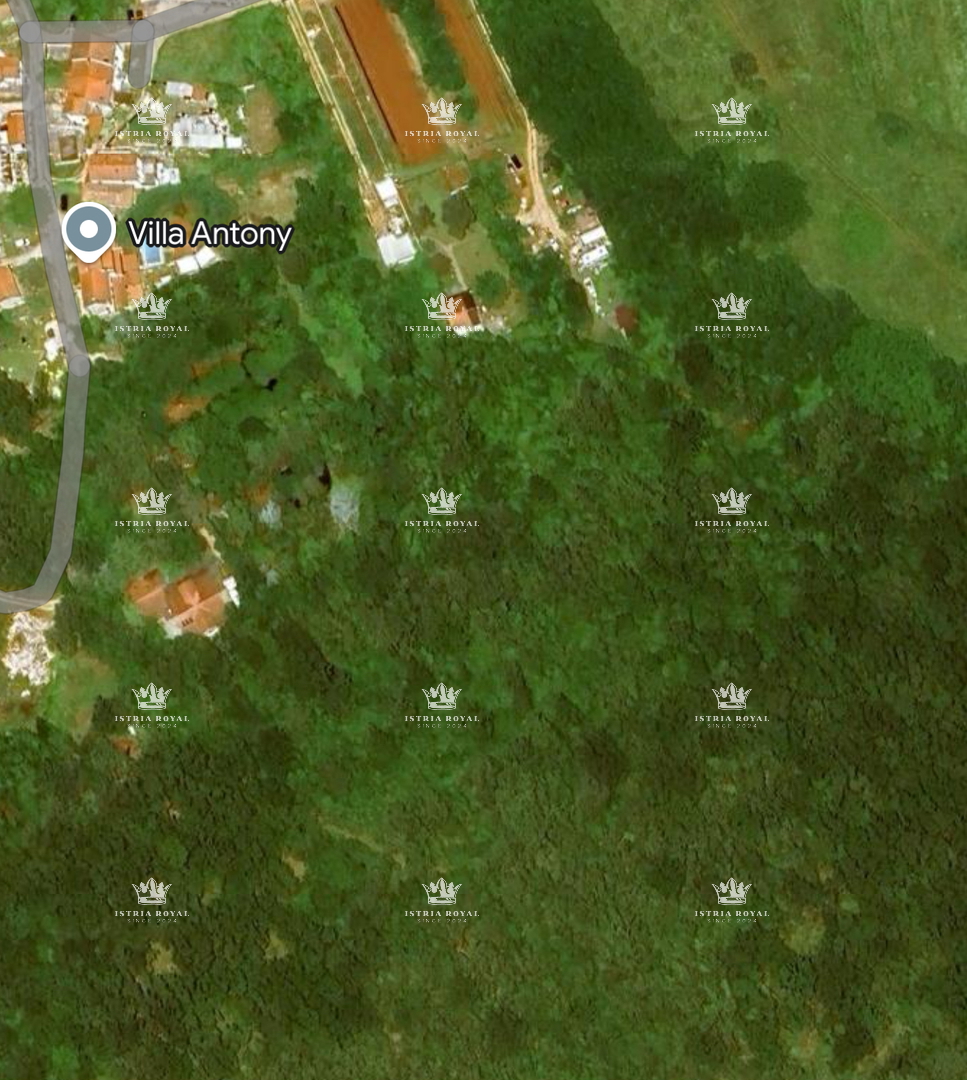 Istria, Umag – Vendita esclusiva di un terreno agricolo di 25.264 m²: Vigna, Pascolo, Terreno coltivato, Foresta