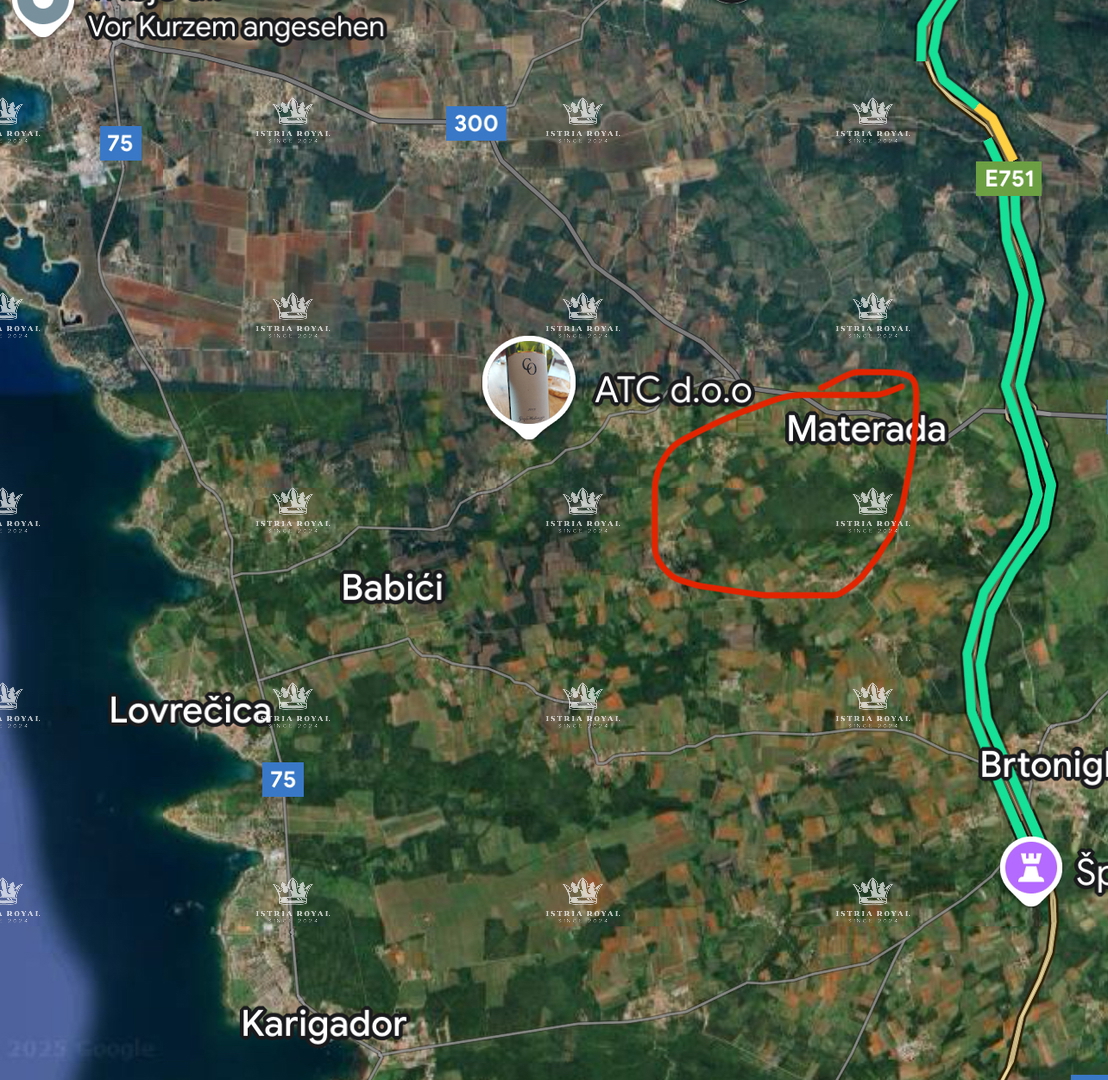 Istria, Umag – Vendita esclusiva di un terreno agricolo di 25.264 m²: Vigna, Pascolo, Terreno coltivato, Foresta