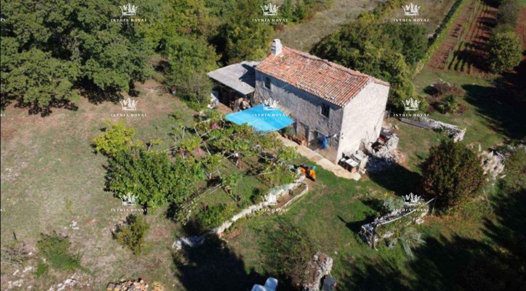 Labin, azienda agricola, vendita.